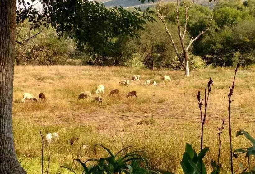 ホテル Rancho Los Alamos