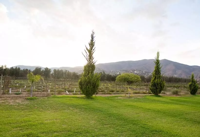 Hotelli Sueños Resort Valle De Guadalupe