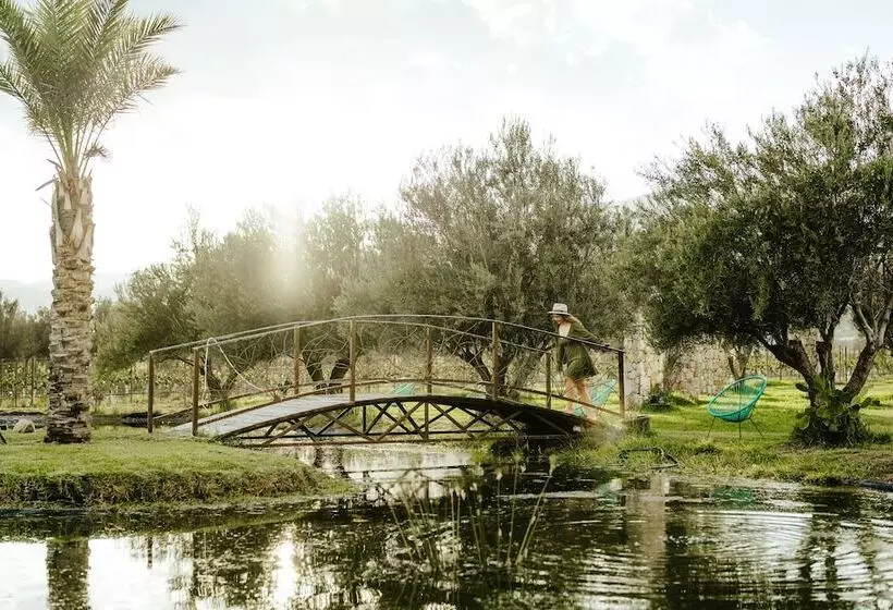 Hotelli Sueños Resort Valle De Guadalupe