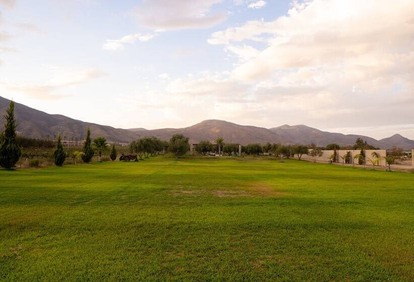 ホテル Sueños Resort Valle De Guadalupe
