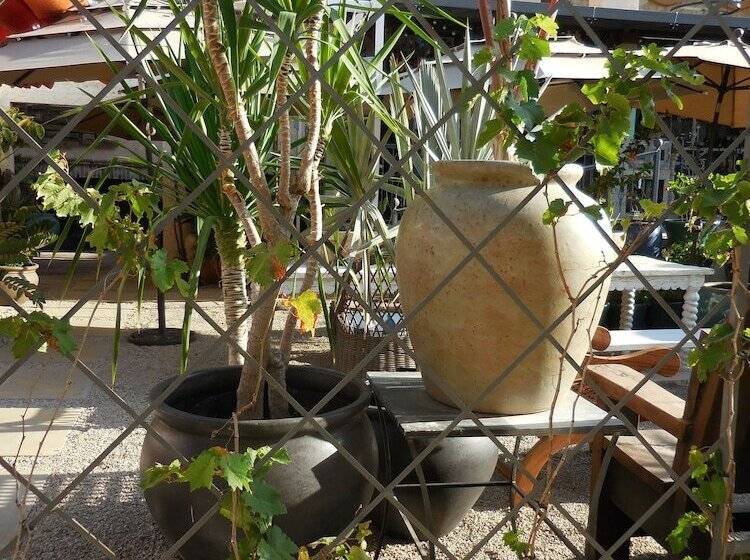 בית מלון כפרי The Suites By Villa Valentina