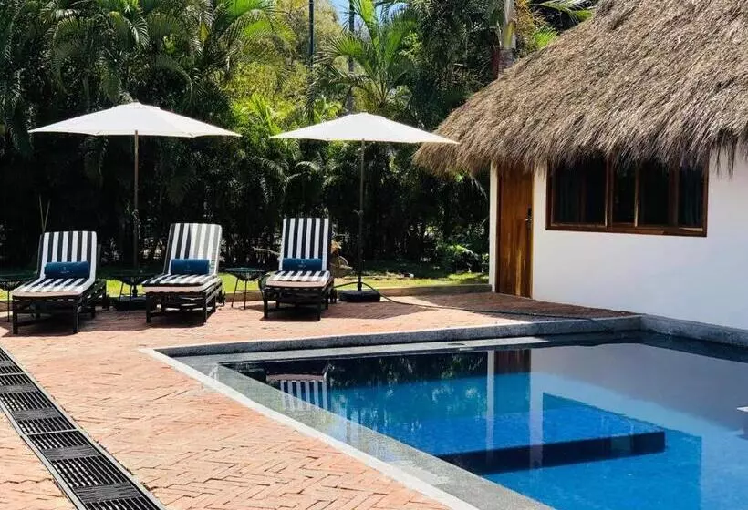 ホテル Villa San Juan Bed&breakfast
