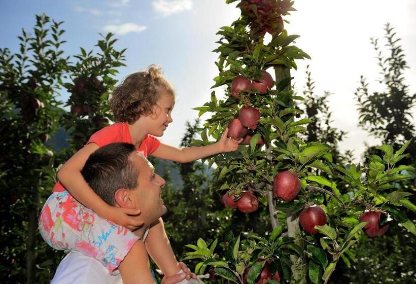 Bed and Breakfast Alessia  S Home