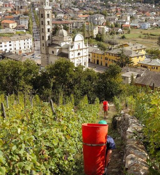 Bed and Breakfast Alessia  S Home