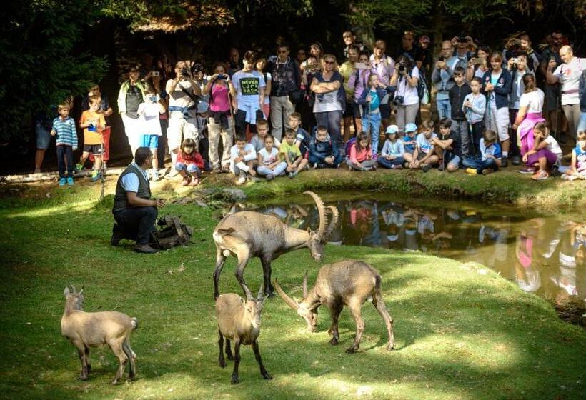 Bed and Breakfast Alessia  S Home