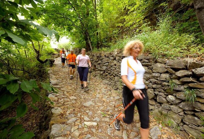 Bed and Breakfast Alessia  S Home