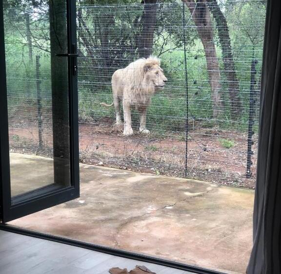 مبيت وإفطار Simba Safaris African Pride Exotic Lodge