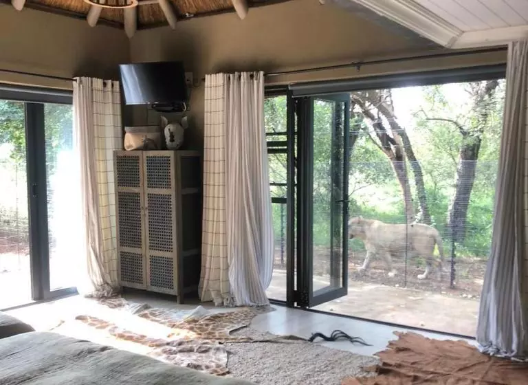 ベッドアンドブレックファースト Simba Safaris African Pride Exotic Lodge