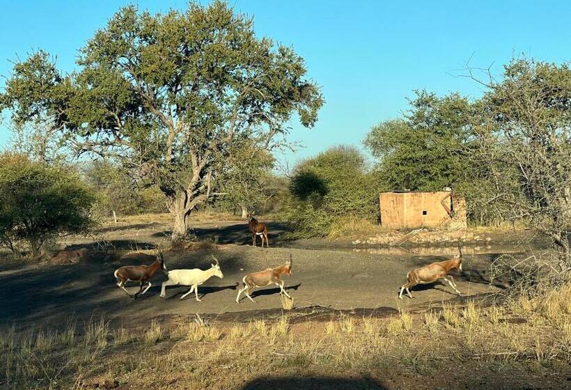 مبيت وإفطار Simba Safaris African Pride Exotic Lodge