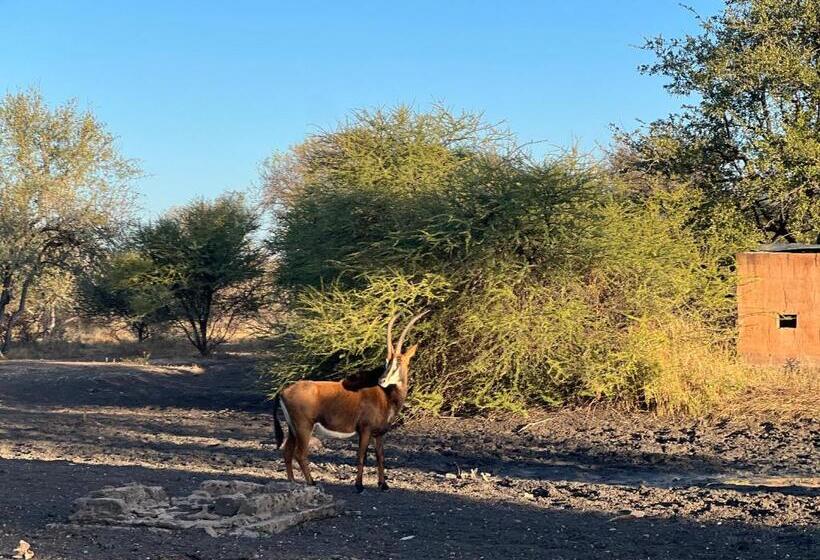 مبيت وإفطار Simba Safaris African Pride Exotic Lodge