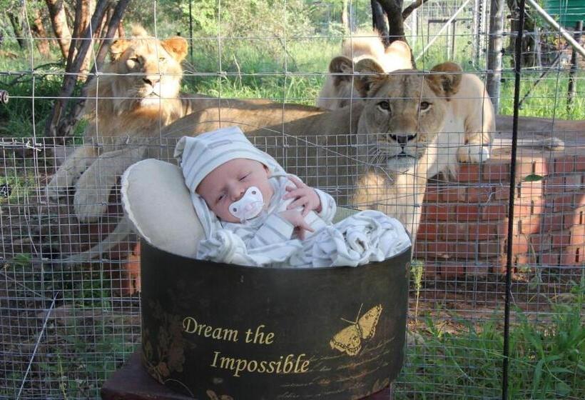 مبيت وإفطار Simba Safaris African Pride Exotic Lodge