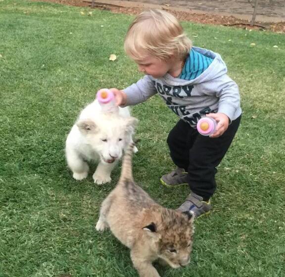 مبيت وإفطار Simba Safaris African Pride Exotic Lodge