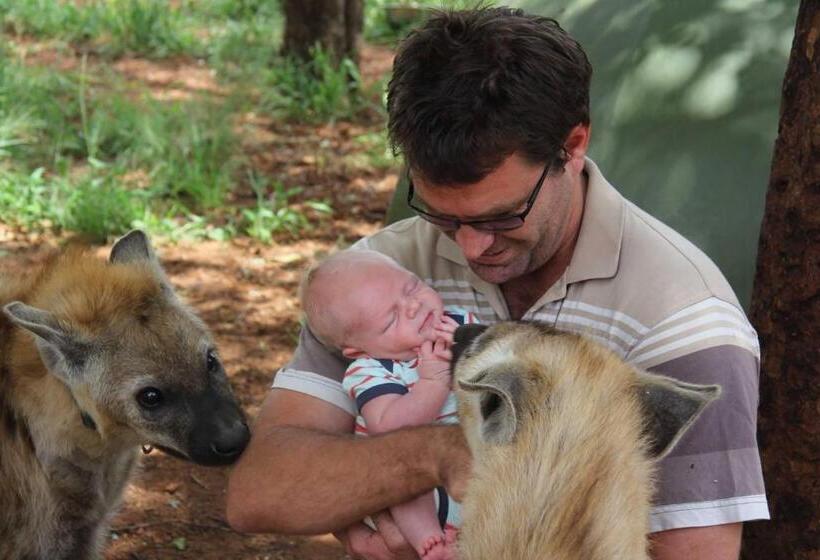 مبيت وإفطار Simba Safaris African Pride Exotic Lodge