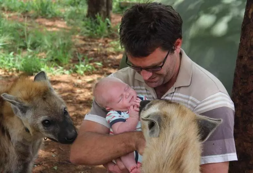 ベッドアンドブレックファースト Simba Safaris African Pride Exotic Lodge