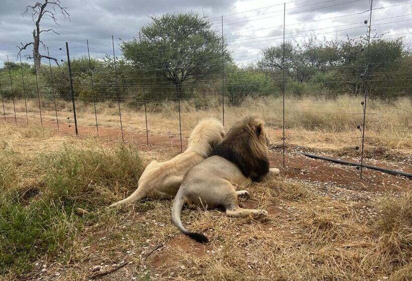 مبيت وإفطار Simba Safaris African Pride Exotic Lodge