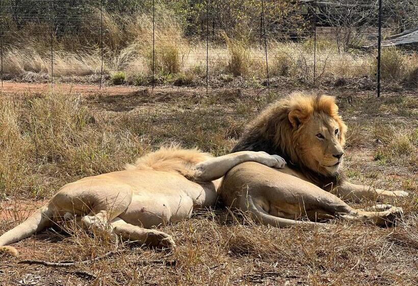 مبيت وإفطار Simba Safaris African Pride Exotic Lodge