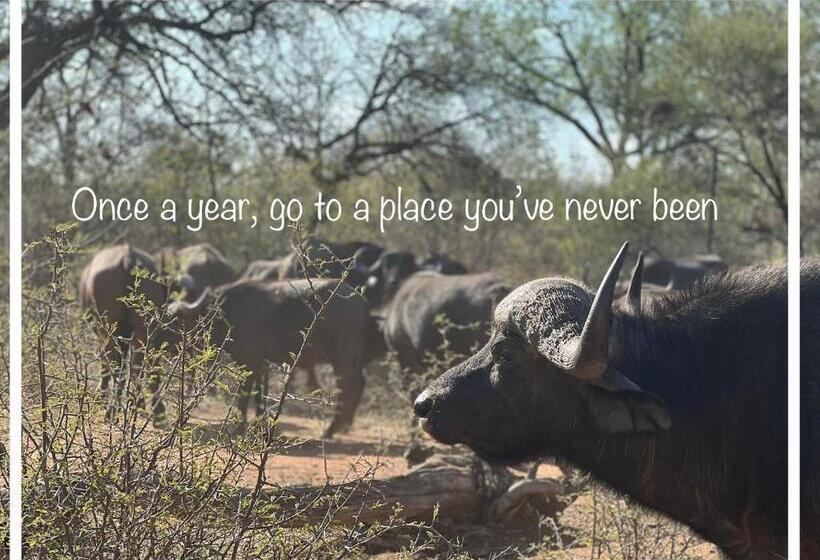 مبيت وإفطار Simba Safaris African Pride Exotic Lodge