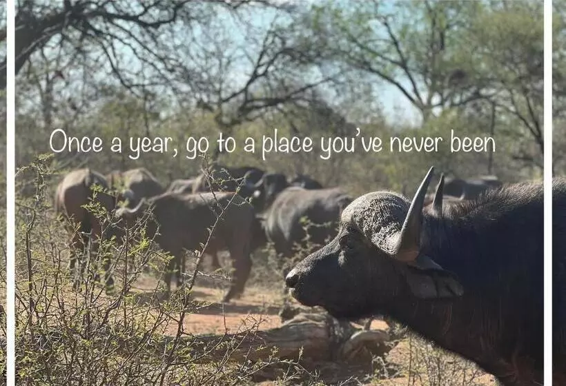 ベッドアンドブレックファースト Simba Safaris African Pride Exotic Lodge