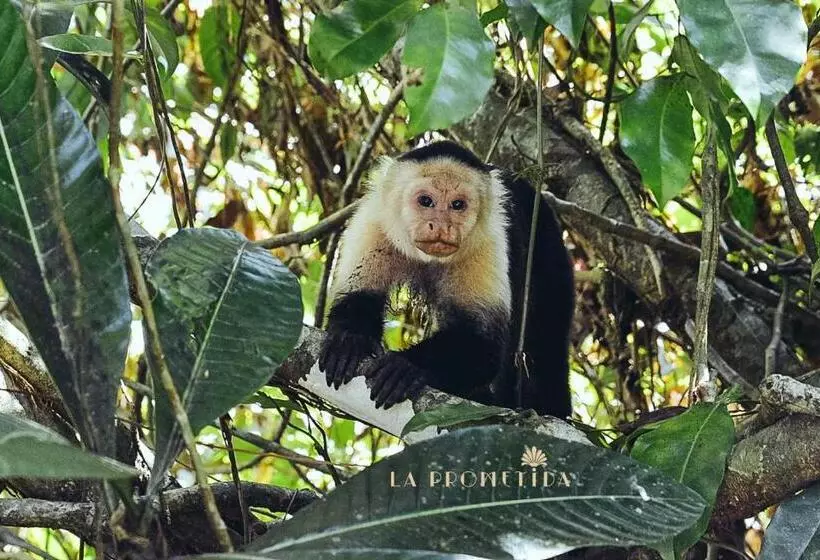 Hotelli La Prometida