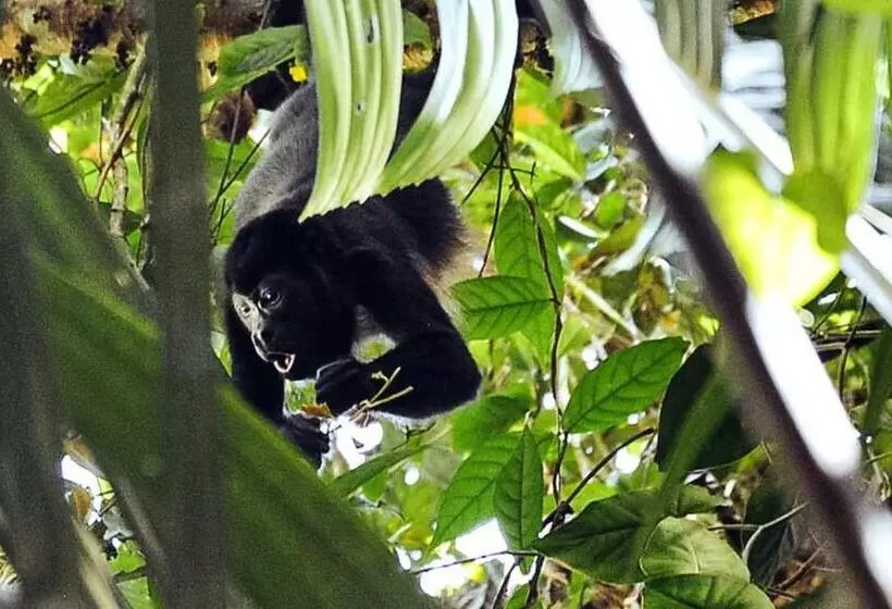 Hotelli La Prometida