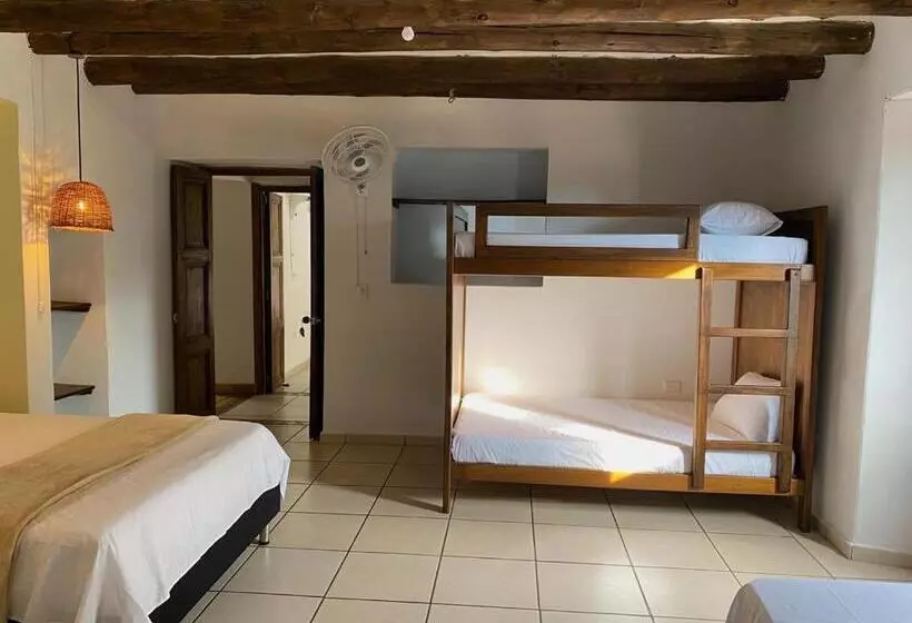 ペンション This Is Colombia Hostel