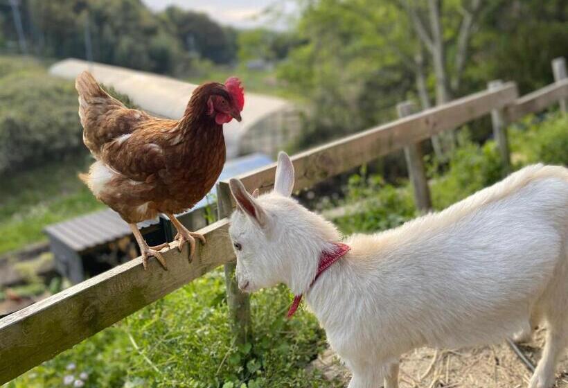 Bed and Breakfast Kizuna Guesthouse