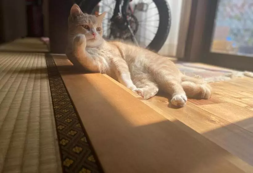 ベッドアンドブレックファースト Kizuna Guesthouse