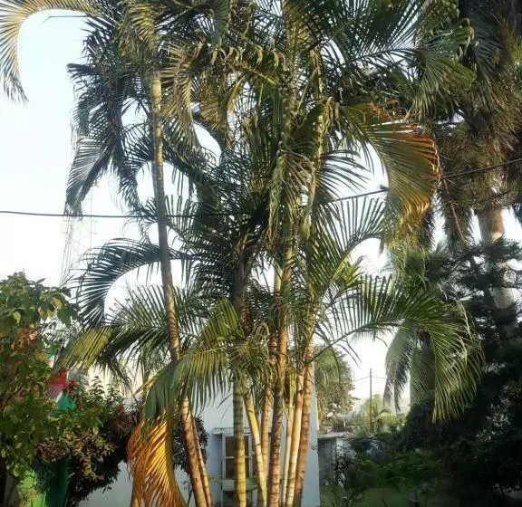 پانسیون Mahadev Guest House