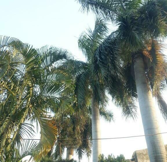 بنسيون Mahadev Guest House