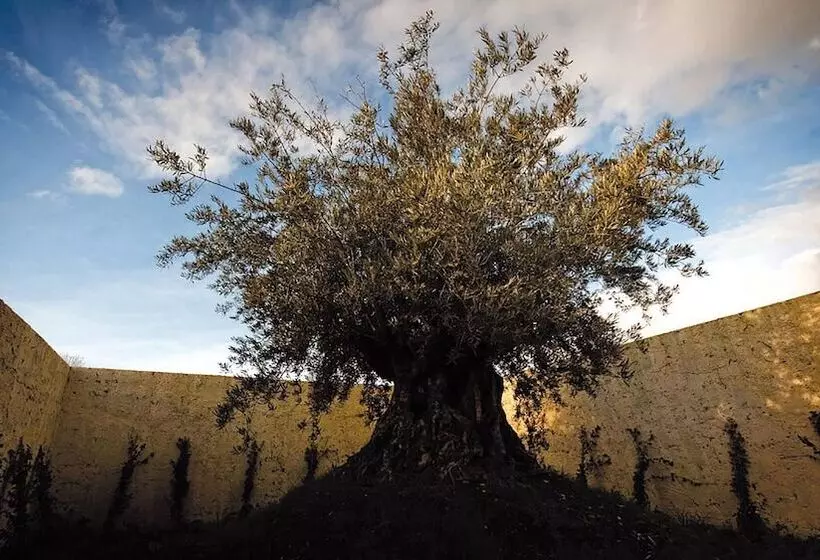 호텔 Foro Appio Mansio