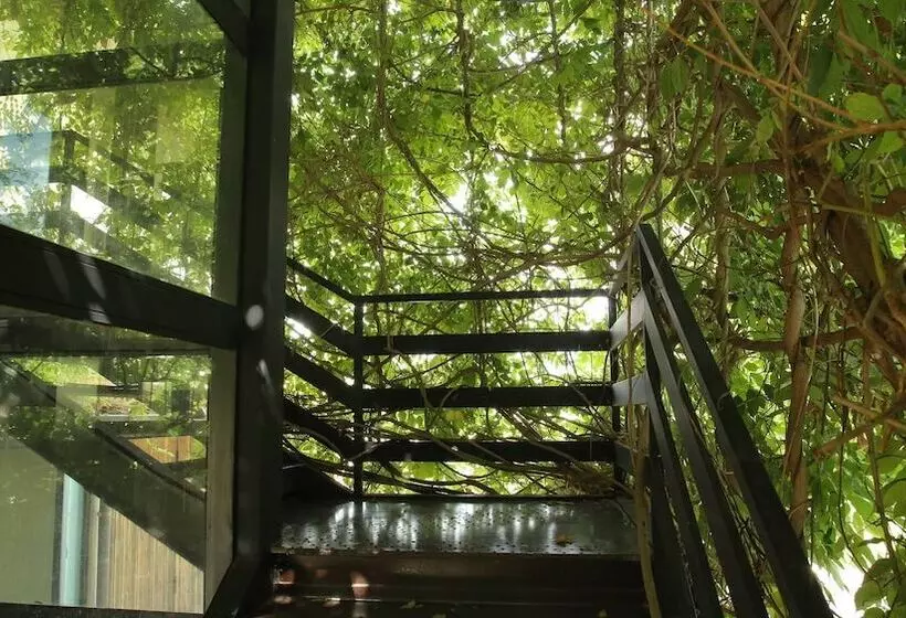 호텔 Foro Appio Mansio