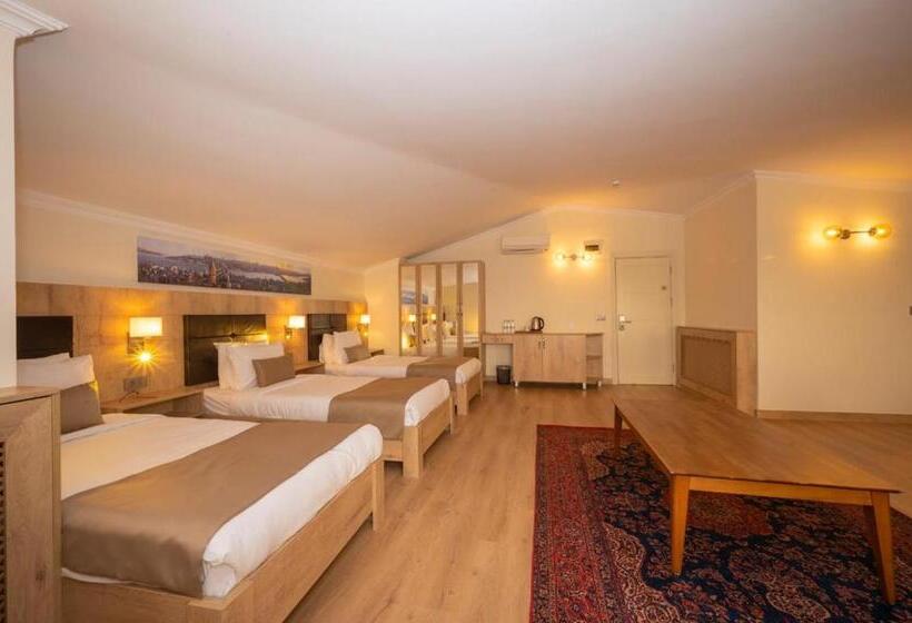 ホテル Porta Romanos