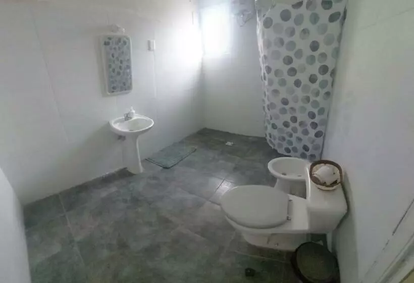 ペンション Avokanto Hostel