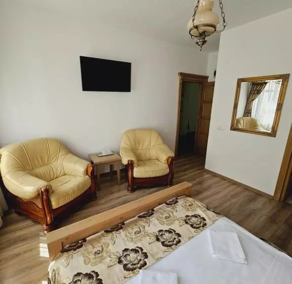 Hotelli Pensiunea Nobil Medieval