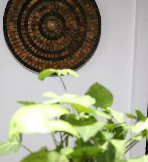 تختخواب و صبحانه Excelente Quarto Com Cama De Casal King Em Casa Perto Do Aeroporto De Curitiba