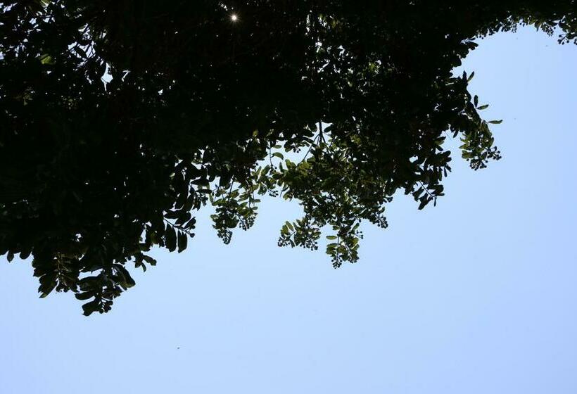 Bed and Breakfast Excelente Quarto Com Cama De Casal King Em Casa Perto Do Aeroporto De Curitiba