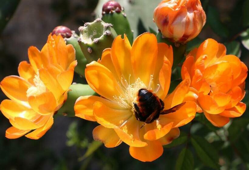 Bed and Breakfast Excelente Quarto Com Cama De Casal King Em Casa Perto Do Aeroporto De Curitiba