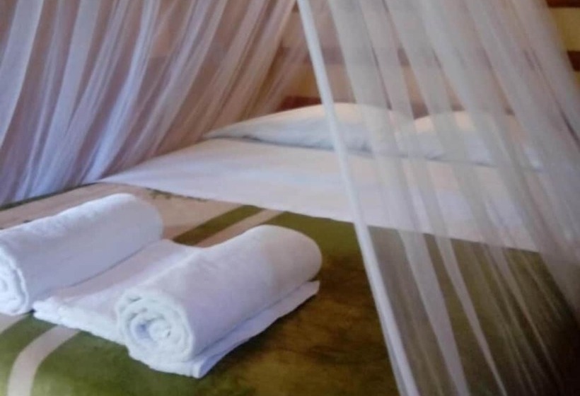 تختخواب و صبحانه Ecohabitat