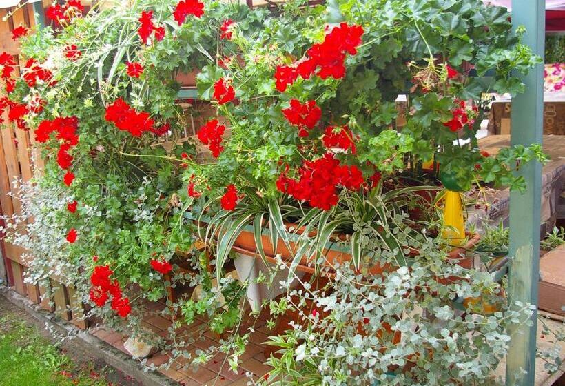 펜션 Unicum Vendégház