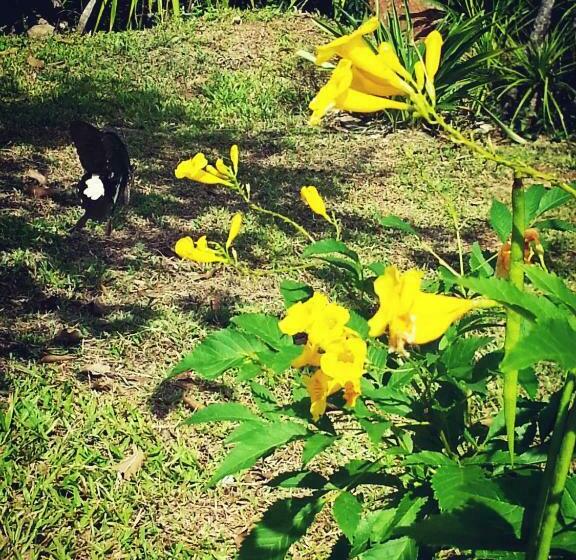 Resort Baan Khaoneawdum