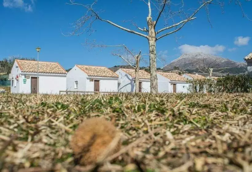 Camping Sierra De Las Nieves