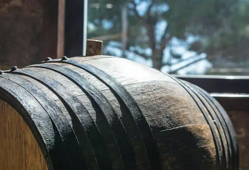 Camping Sierra De Las Nieves