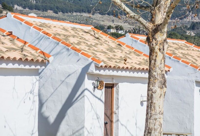 Camping Sierra De Las Nieves