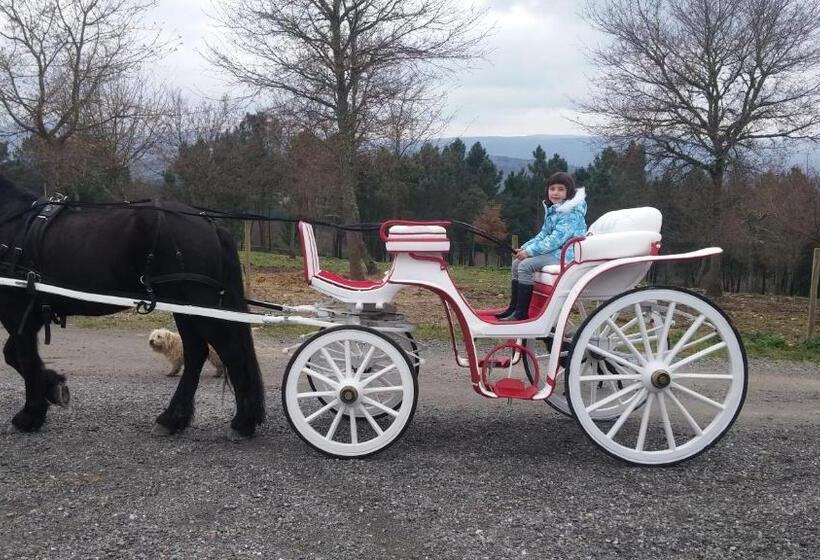 Casa Felisa Marcelle