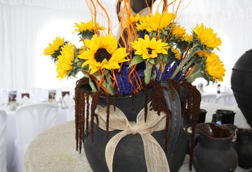 Casa Felisa Marcelle