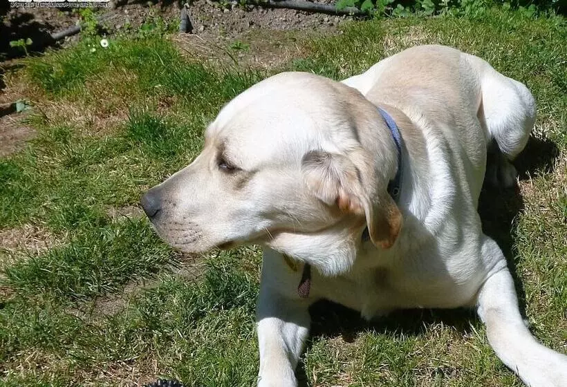 Отель Kershaw House Boutique Accommodation