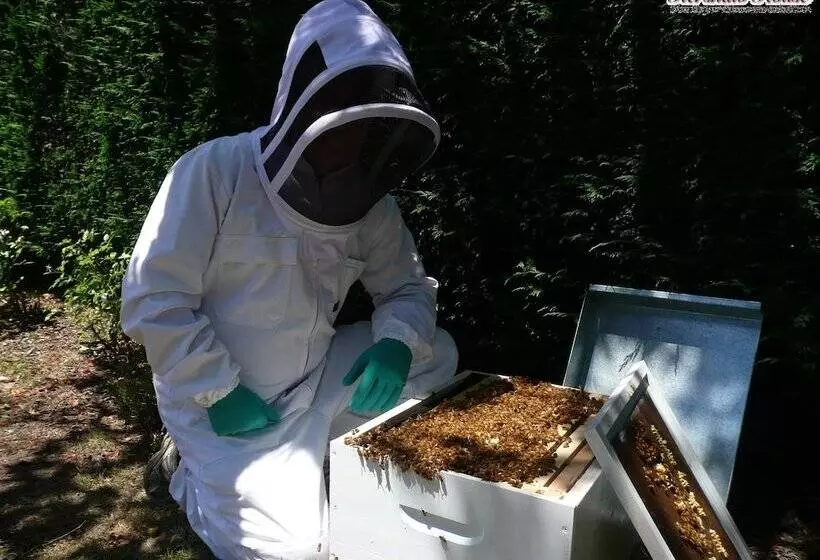 Отель Kershaw House Boutique Accommodation