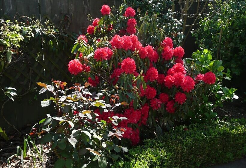 酒店 Kershaw House Boutique Accommodation