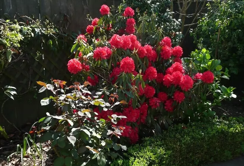 Отель Kershaw House Boutique Accommodation