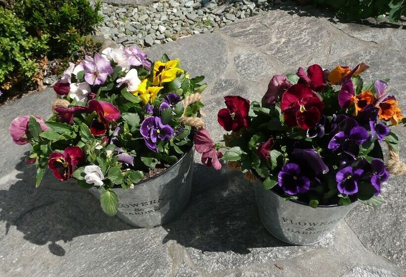 酒店 Kershaw House Boutique Accommodation